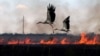 UKRAINE – Storks fly over a burning field near town of Snigurivka, Mykolaiv region, amid Russian invasion in Ukraine. July 4, 2023