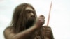 Неандерталец. Wikipedia. <a href = "http://en.wikipedia.org/wiki/Image:Neanderthal_2D.jpg" target=_blank>GNU Free Documentation License.</a>