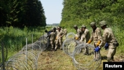 Літоўскія вайскоўцы робяць згароду з калючага дроту на мяжы зь Беларусьсю