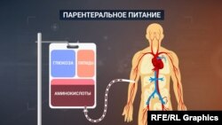 Графіка. Сыстема харчавальнай сумесі для Сянцова