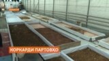 Магасҳои хос дар коркарди партобҳо саҳм мегиранд