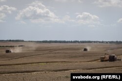 «Бітва за ўраджай» у Беларусі. Архіўнае фота