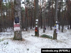 Пакуль гісторыкі высьвятляюць прозьвішчы расстраляных, сваякі ўшаноўваюць сваіх родных побач з мэмарыялам — фатаздымкі на дрэвах і камянях у Быкаўнянскім лесе